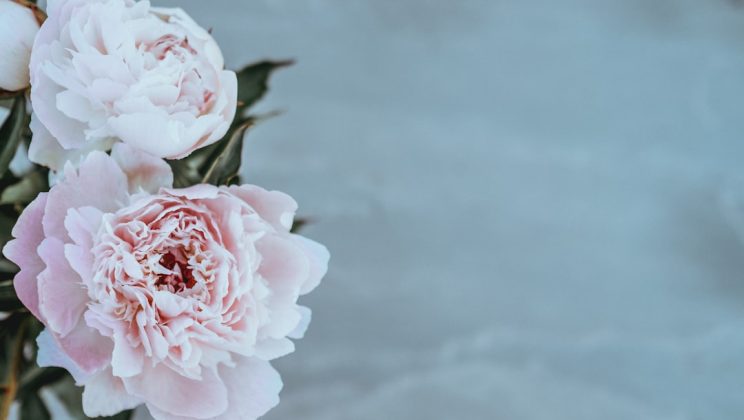 Verfris je interieur met fotobehang bloemen